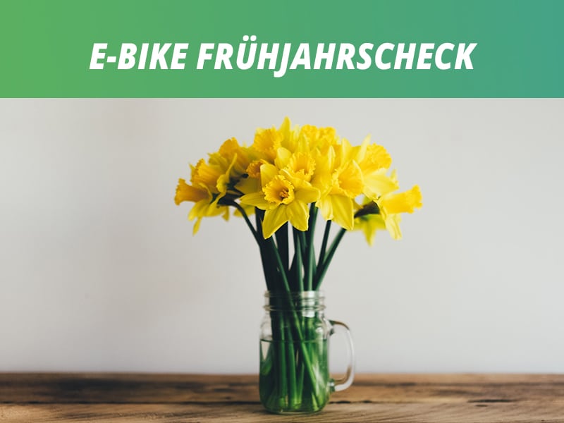 Frühjahrs-Check am E-Bike