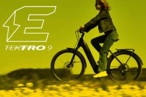 Logo der E-Bikesparte E-Drive bei Tektro