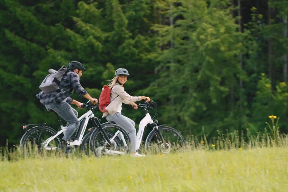 Bedieneinheit Side Color Display für E-Bikes mit Antrieb von Panasonic
