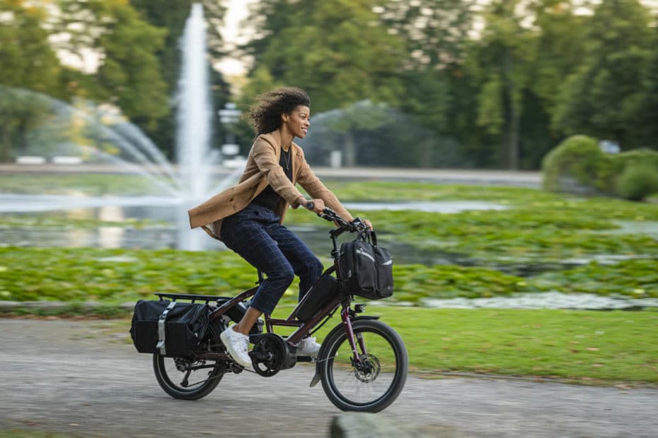 E-Bike Tern Quick Haul mit Gepäcktaschen