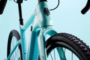 E-Bike Bianchi e-Arcadex mit Carbon-Gabel